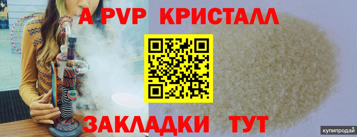 Alfa_PVP СК Будённовск